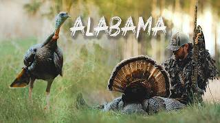 CALLING IN TWO HOT AFTERNOON GOBBLERS | Alabama Turkey Hunting | They came FAST 