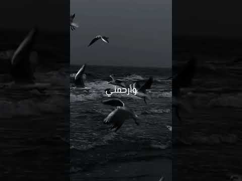 احفظوها سبع كلمات نقولها بين السجدتين تجمع لنا خيري الدنيا والآخرة