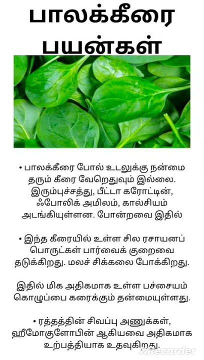 பாலக் கீரை பயன்கள்
