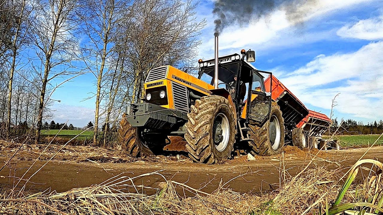 Wożenie Kompostu! Niedźwiedź 1604 Wyrywa Przyczepy Z Pola!