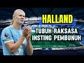 Erling halland - kisah perjalanan hidup??