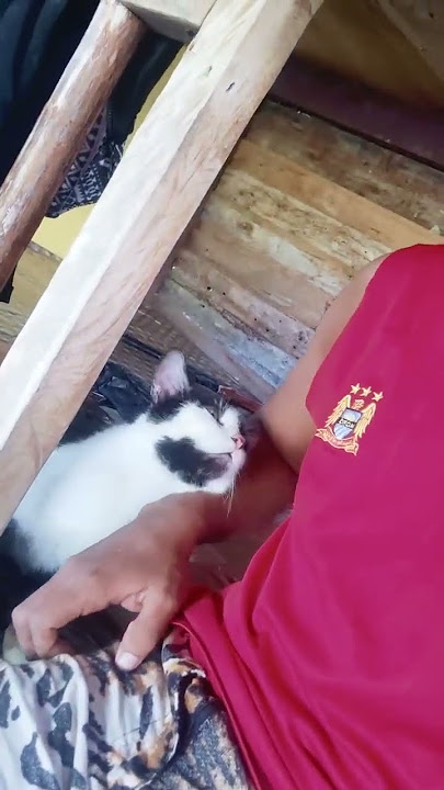 manja kali dia 😘