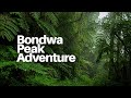 Only 1 Of Travelers Do This Hike In Tanzania†I Found Out Why рџ рџ ї Only 1 Of Travelers Do This Hike In Tanzania†I Found Out Why рџ рџ ї