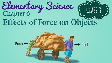 Class 3 I Chapter 6 I Effects of Force on Objects I Elementary Science I English Version I 2025