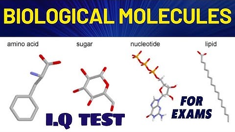 IGCSE Biology Questions and Answers | BIOLOGICAL MOLECULES