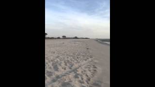 El Dorado Ranch Playa by Dewi Raimundo 118 views 8 years ago 1 minute, 36 seconds