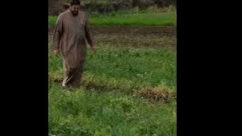 القارئ ايهاب سيد احمد مقاطع من صلاة العشاء2