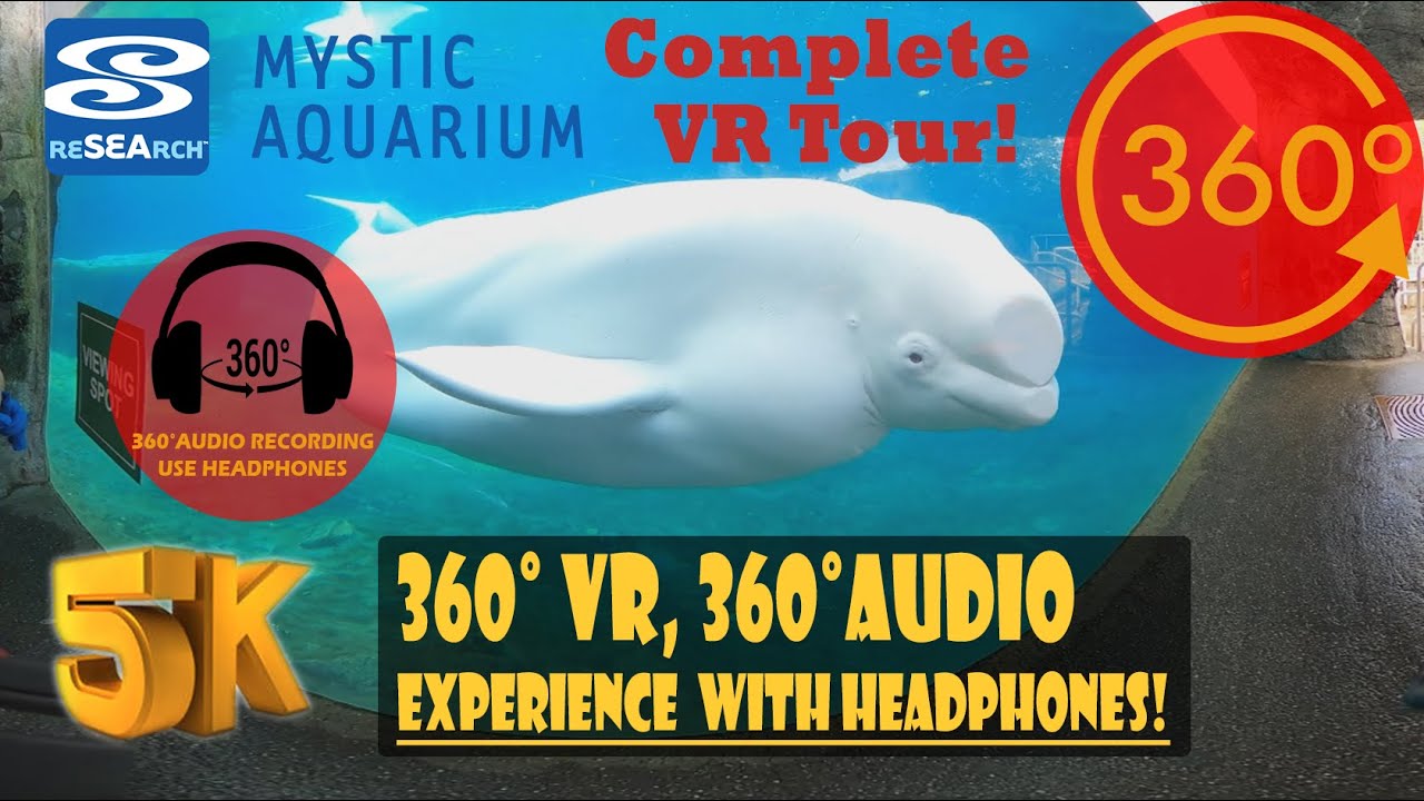 Mystic Aquarium Virtual Tour 2020 [5K 360° 360° Audio] YouTube
