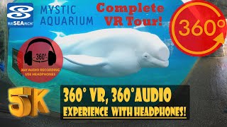 Mystic Aquarium Virtual Tour 2020 [5K 360° | 360° Audio]