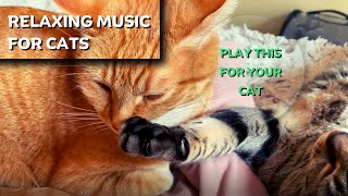2 Hours of Calming Music for Cats to Relax