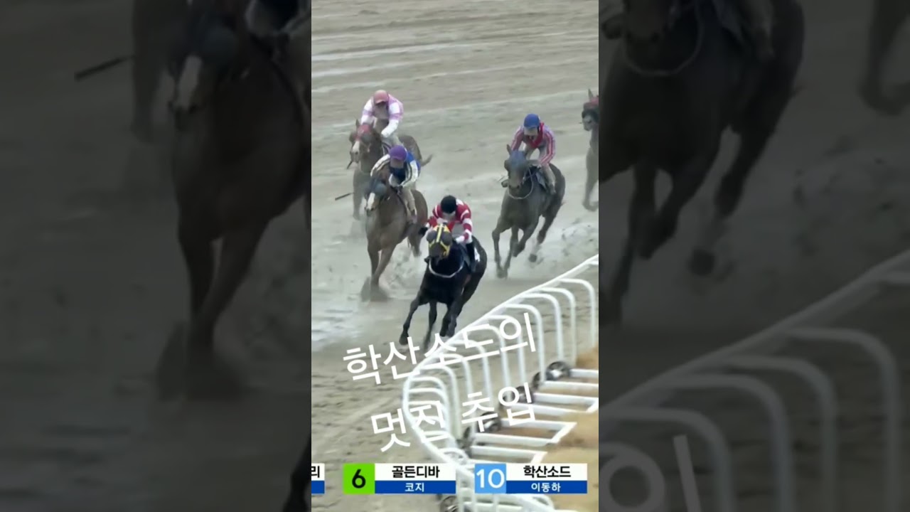 학산소드 멋친 우승