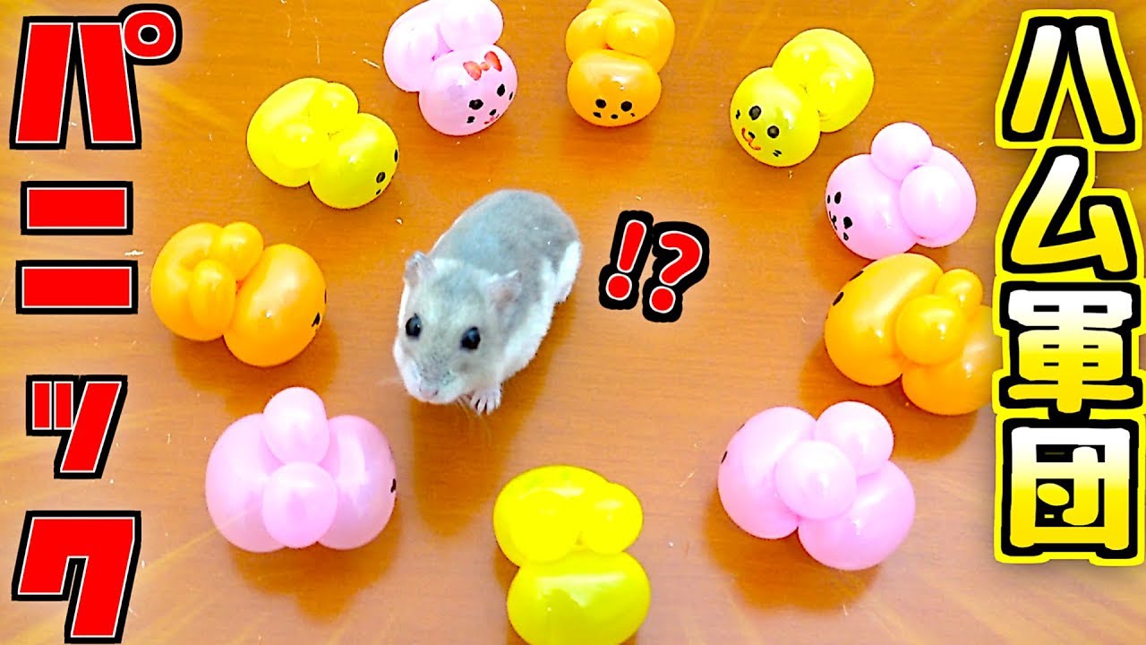 風船ハムスターのワイヤーアート 5362349e-ce51-4181-9db7-