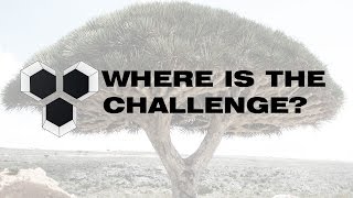 Programming Architecture - Where is the challenge?