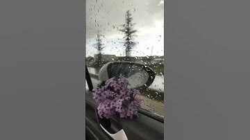 #اكسبلور #explore #الرحمن #quran #لايك #قرآن #فولو #تلاوة_خاشعة #ارح_قلبك #ارح_سمعك °°