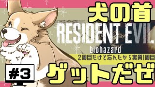 こわがらないわんわんの『バイオハザード7』　#ここ掘れマルマル