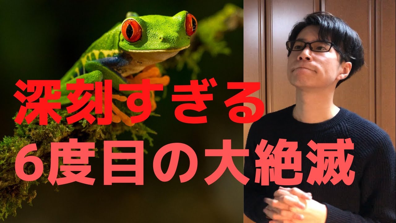 絶滅する動植物はなんと毎日0種 熱帯林の減少について 生物多様性 Youtube 絶滅する動植物はなんと毎日0種 熱帯林の減少について 生物多様性 Youtube
