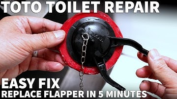 Worn Out Toto Toilet Flapper Replacement - Toto Toilet Ghost Flushing and Leaking Sounds