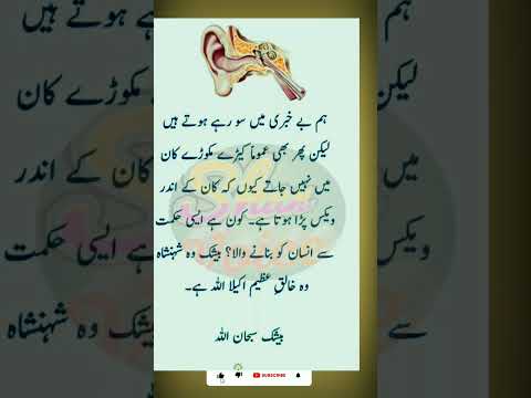 urdu quote aqwal zreen golden words #shots #shotsfeed #youtubeshots