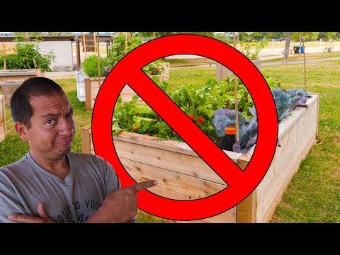 better-than-raised-garden-beds?-|-a-cheap-and-efficient-garden-bed-idea