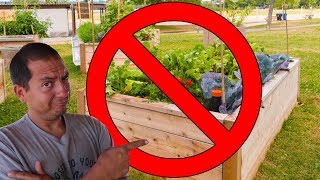 Better Than Raised Garden Beds? | A Cheap and Efficient Garden Bed Idea
