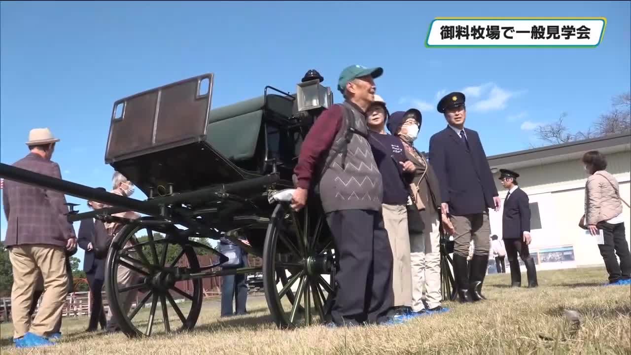 御料牧場で馬にふれあい馬車を見学 一般見学会開かれる 高根沢町・芳賀