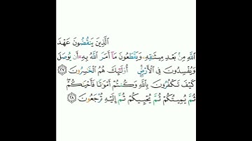 2 - سورة البقرة (٢٧-٢٨) - مشاري بن راشد العفاسي