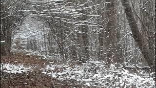 223 drops buck.  subscribe hit the 👍