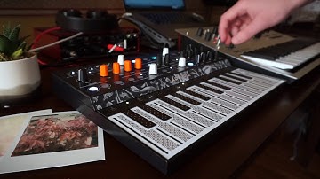 Patient (Microfreak + Minilogue)