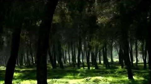 The Deerslayer Trailer