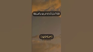سورة الأنبياء الآية ١١ الى ١٥ بصوت الشيخ محمد صديق المنشاوي