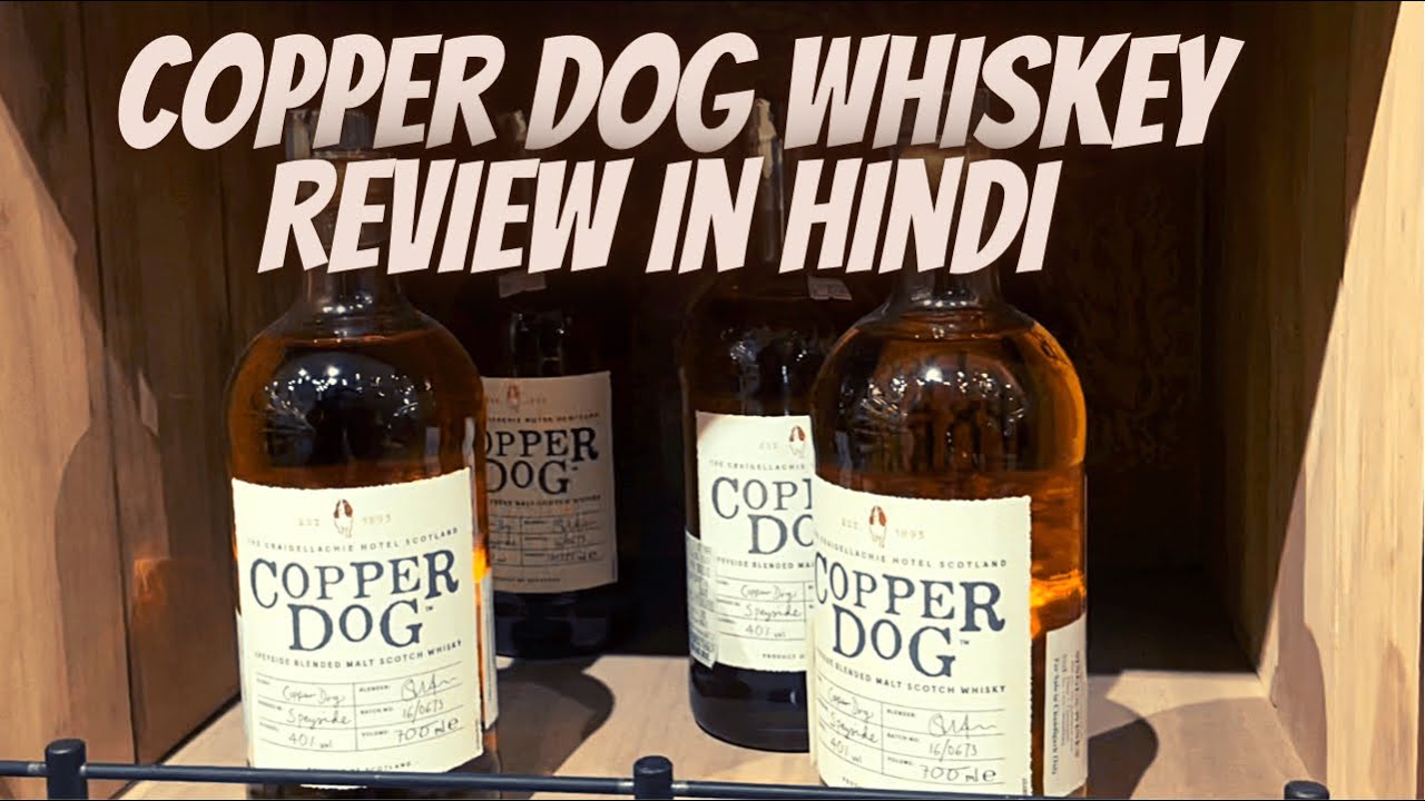 Copper Dog Whiskey Review In Hindi कॉपर डॉग विस्की YouTube