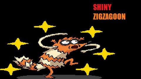 Shiny zigzagoon from dexnav after chain of 17 in omega ruby