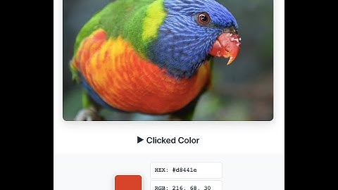 Extract Colors from Image | Free Color Palette Generator Tool (40 Seconds)