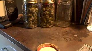 Medical Cannabis - The Weight In... pt 1