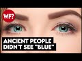 Why Ancient People Didn't See the Color Blue