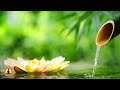 🔴 Relaxing Music 24/7, Stress Relief Music, Sleep Music, Meditation Music, Study, Calming Music