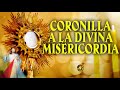 Coronilla A La Divina Misericordia De Hoy