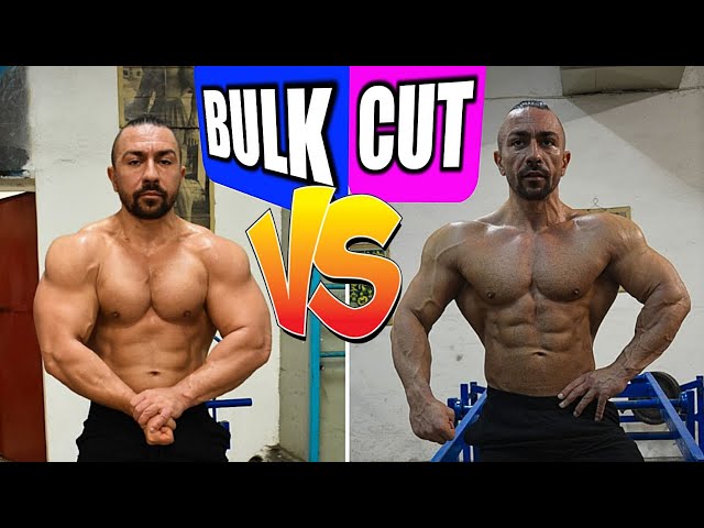 Bulk Body Vs Lean Body: What's The Difference? – Buildyourgoals