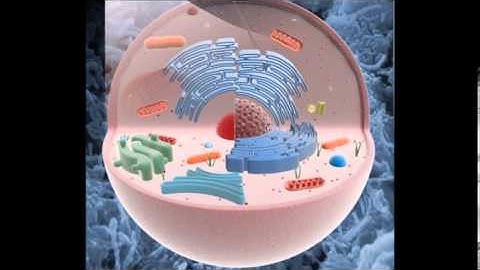 Cell 3D Model | Science / Medical 3D Models | max, 3ds, c4d, obj, lwo