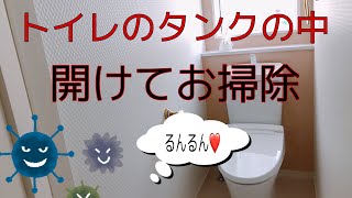 【主婦のとある日】タンクレストイレの掃除！【作業動画】