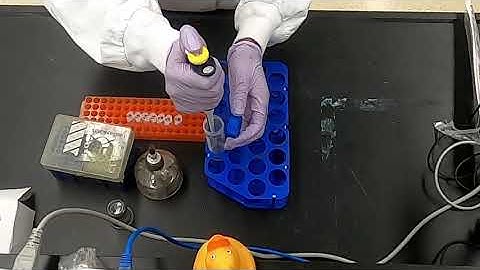 Preparation of samples for microbial analysis