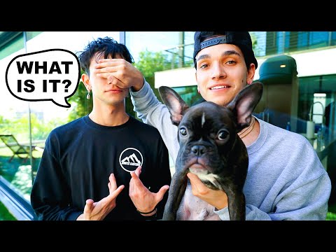 I BOUGHT MY TWIN A PUPPY!