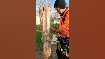 Lanyard Positioning TRIICKS For Tree Climbing #Shorts