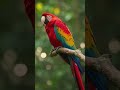 #short #birds #wildlifeentertainment #parrot #birds4k #amazonjungle #wildlife #colorfulbirds #amazon