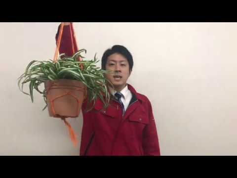 マクラメ編みでのハンギングプランターの作り方 観葉植物を飾ろう Youtube