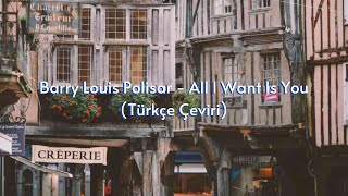 Barry Louis Polisar - All I Want Is You (Türkçe Çeviri)