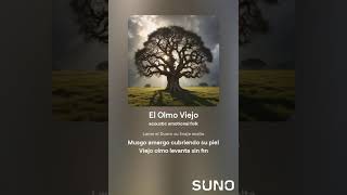 El Olmo Viejo 1