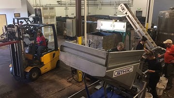 Torii Mor grape sorting, 2017 video 3