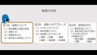 【研修】子どもの感覚統合について　第1部