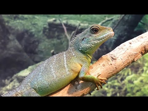 🔴 1 Hour Study Music  Concentration Music, Focus, Meditation, Calm Music, Yoga, Relaxing Music,